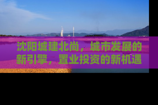 沈阳城建北尚，城市发展的新引擎，置业投资的新机遇