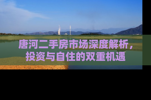 唐河二手房市场深度解析，投资与自住的双重机遇