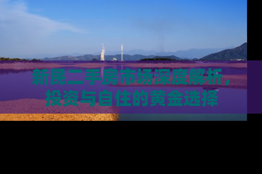 新民二手房市场深度解析，投资与自住的黄金选择