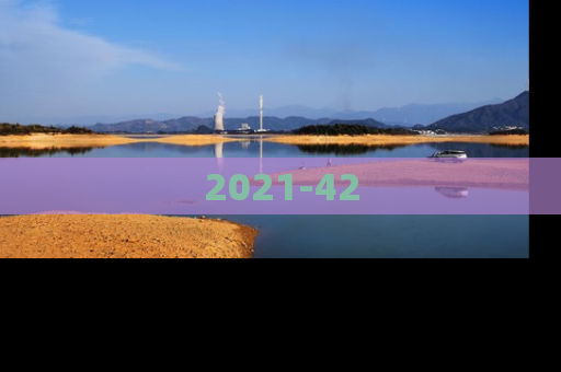 2021-42