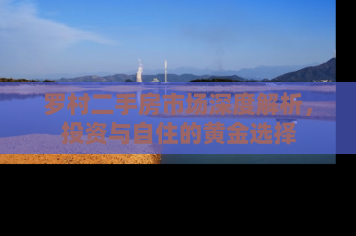 罗村二手房市场深度解析，投资与自住的黄金选择