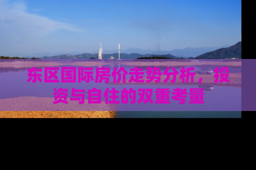 东区国际房价走势分析，投资与自住的双重考量