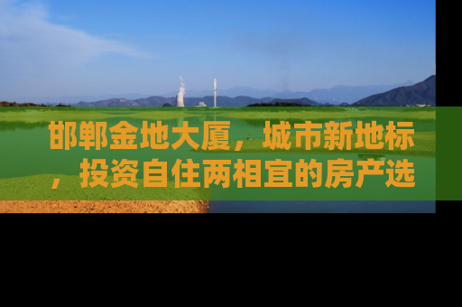 邯郸金地大厦，城市新地标，投资自住两相宜的房产选择