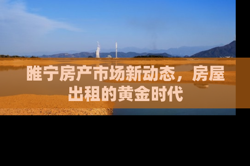 睢宁房产市场新动态，房屋出租的黄金时代