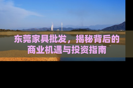 东莞家具批发，揭秘背后的商业机遇与投资指南