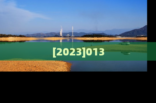 [2023]013
