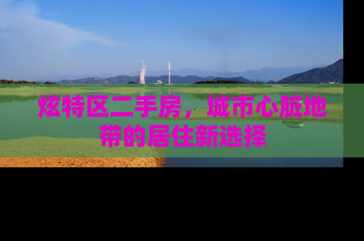 炫特区二手房，城市心脏地带的居住新选择