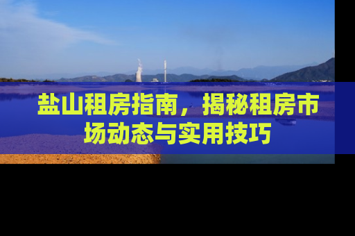 盐山租房指南，揭秘租房市场动态与实用技巧