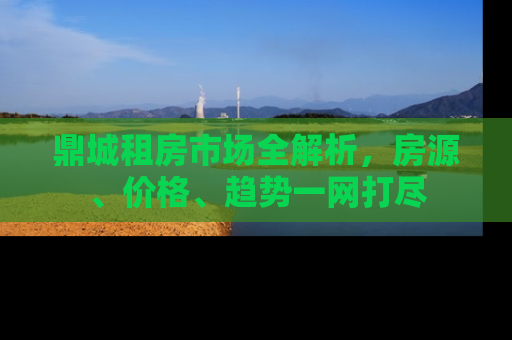 鼎城租房市场全解析，房源、价格、趋势一网打尽