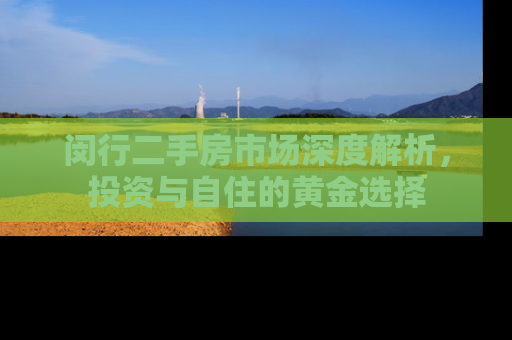 闵行二手房市场深度解析，投资与自住的黄金选择