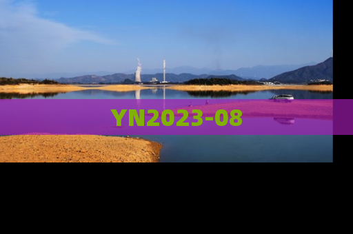 YN2023-08