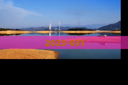 2023-031