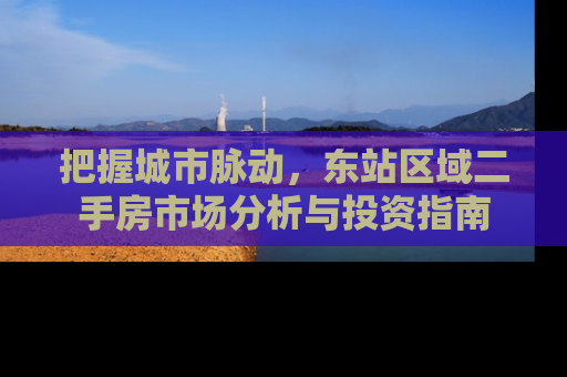 把握城市脉动，东站区域二手房市场分析与投资指南