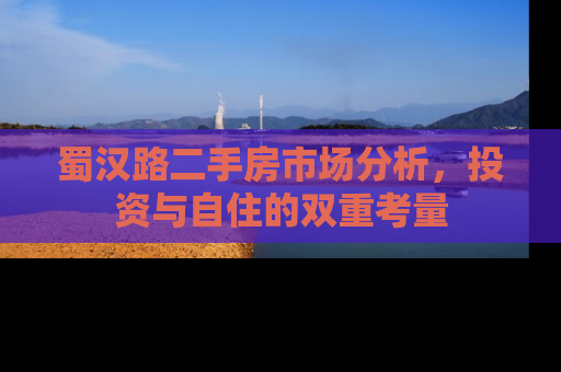 蜀汉路二手房市场分析，投资与自住的双重考量