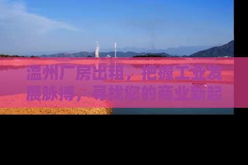 温州厂房出租，把握工业发展脉搏，寻找您的商业新起点