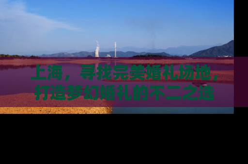 上海，寻找完美婚礼场地，打造梦幻婚礼的不二之选