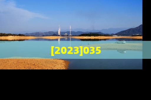[2023]035