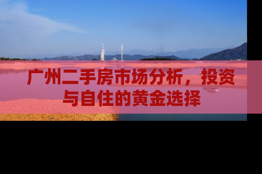 广州二手房市场分析，投资与自住的黄金选择
