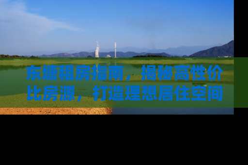 东塘租房指南，揭秘高性价比房源，打造理想居住空间