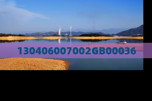 130406007002GB00036