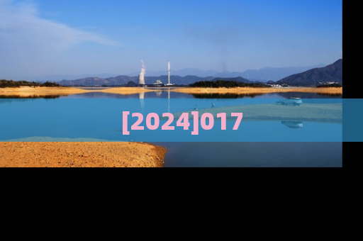 [2024]017