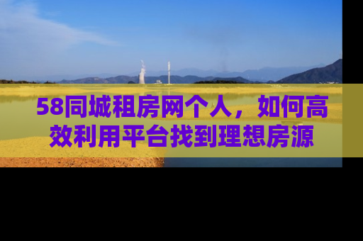 58同城租房网个人，如何高效利用平台找到理想房源