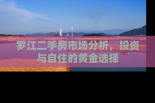 罗江二手房市场分析，投资与自住的黄金选择
