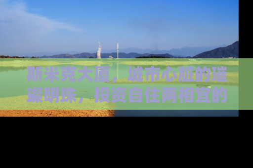斯米克大厦，城市心脏的璀璨明珠，投资自住两相宜的黄金选择