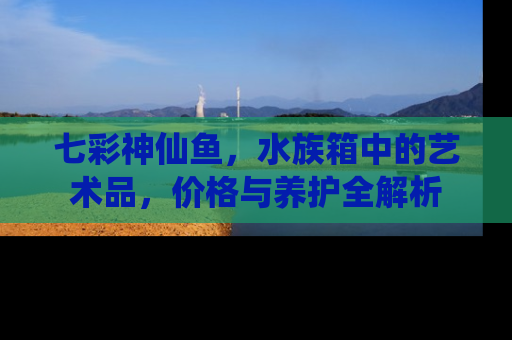 七彩神仙鱼，水族箱中的艺术品，价格与养护全解析