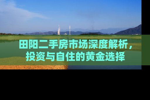 田阳二手房市场深度解析，投资与自住的黄金选择