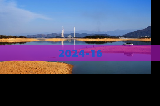 2024-16