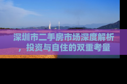 深圳市二手房市场深度解析，投资与自住的双重考量