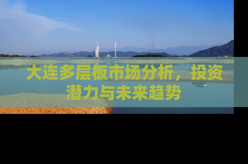 大连多层板市场分析，投资潜力与未来趋势