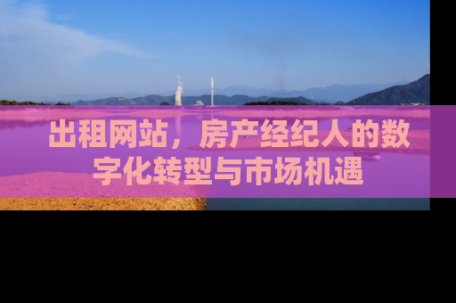 出租网站，房产经纪人的数字化转型与市场机遇