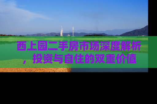 西上园二手房市场深度解析，投资与自住的双重价值
