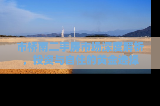 市桥南二手房市场深度解析，投资与自住的黄金选择