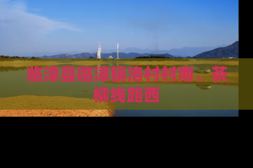 临漳县临漳镇洛村村南、茶柳线路西
