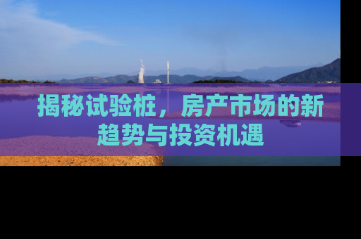 揭秘试验桩，房产市场的新趋势与投资机遇