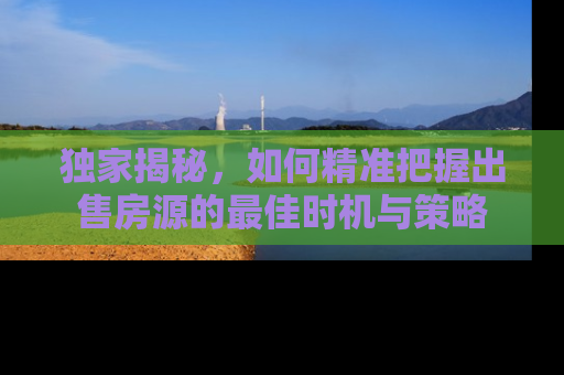 独家揭秘，如何精准把握出售房源的最佳时机与策略