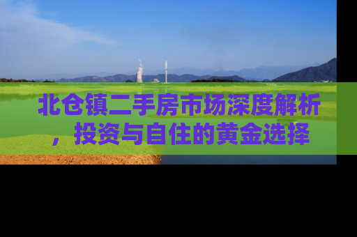 北仓镇二手房市场深度解析,投资与自住的黄金选择 北仓镇二手房市场深度解析,投资与自住的黄金选择