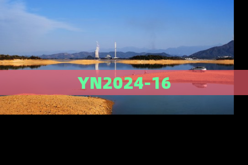 YN2024-16