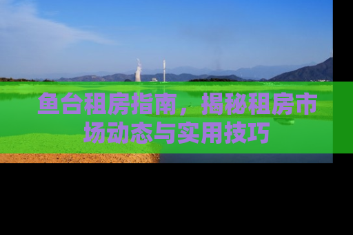 鱼台租房指南，揭秘租房市场动态与实用技巧
