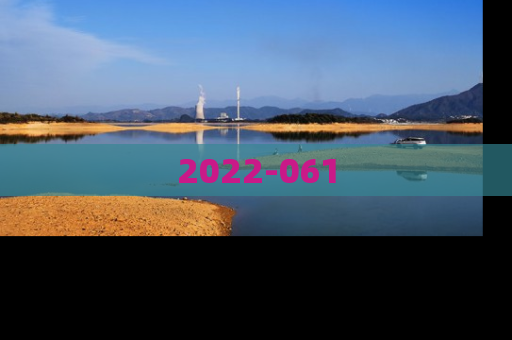 2022-061