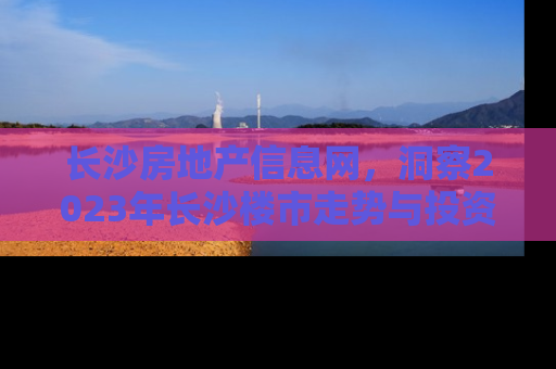 长沙房地产信息网，洞察2023年长沙楼市走势与投资指南