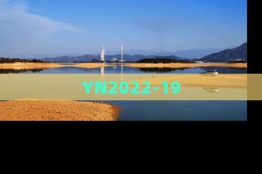 YN2022-19
