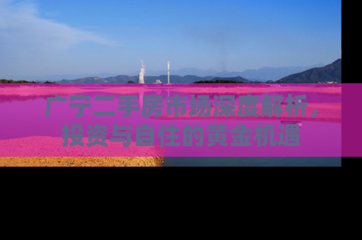 广宁二手房市场深度解析，投资与自住的黄金机遇