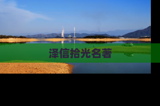 泽信拾光名著