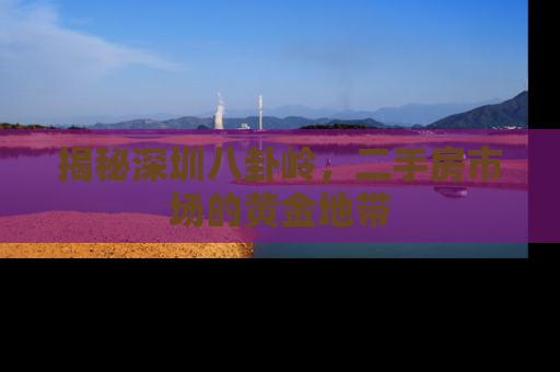 揭秘深圳八卦岭，二手房市场的黄金地带