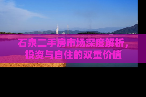石泉二手房市场深度解析，投资与自住的双重价值