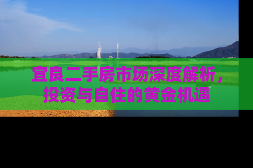 宜良二手房市场深度解析，投资与自住的黄金机遇